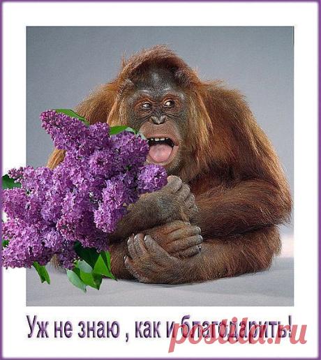 ЛЮБИМЫЙ КИНОСАЙТ.
