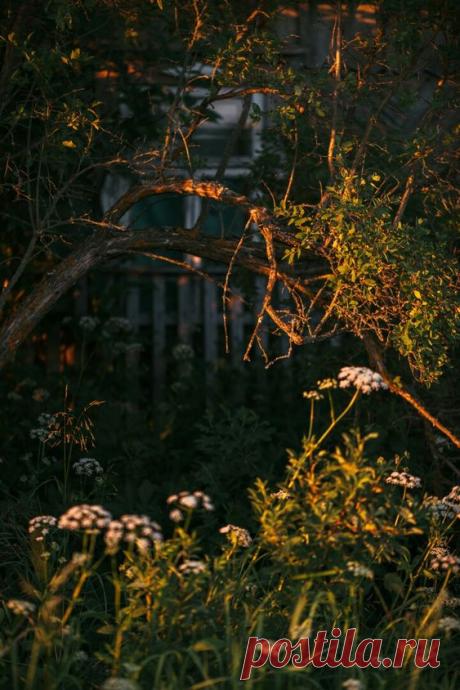 (26) Pinterest