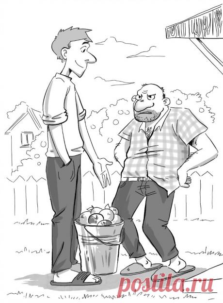 Ведро с яблоками