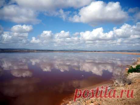 Pink lake. Salina Torrevieja