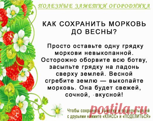 Одноклассники