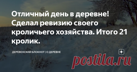 Отличный день в деревне!Сделал ревизию своего кроличьего хозяйства. Итого 21 кролик.