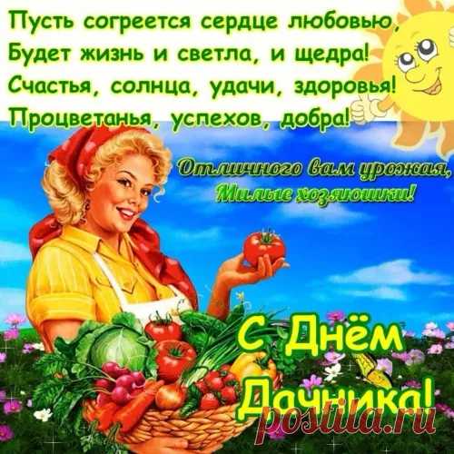 С днем дачника поздравляю,
Богатого урожая пожелаю.
Пусть всходят семена прекрасно,
Погода будет благоприятна, ясна.