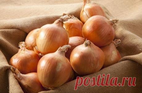 Лучшее средство, которое вмиг избавит от бородавок и мозолей
⠀
"Дедовский" метод вмиг избавит от мозолей и бородавок. Народная медицина предлагает вот такой рецепт.
⠀
Издавна сок из лука используется для лечения бородавок и грибковых заболеваний ног. Просто намажьте пораженные места луковым соком и дайте ему высохнуть. Русская народная медицина предлагает рецепт, который поможет избавиться от бородавок. Отрежьте от луковицы кусочек и замочите в уксусе на два часа. Затем за...