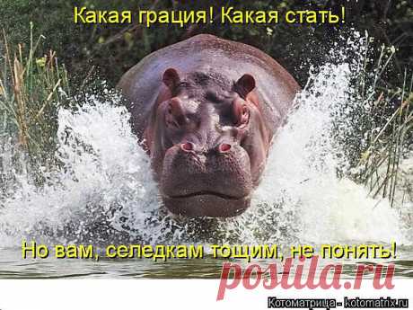 Интересные новости
