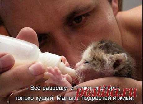 Живи, малыш...