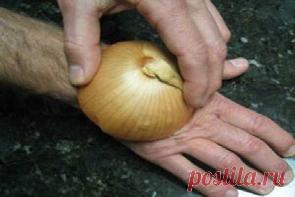 Лук может вылечить более 5 проблем со здоровьем!