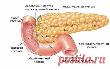 (56) Одноклассники