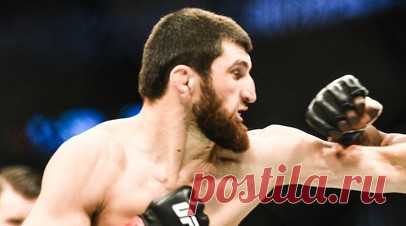 Анкалаев не исключил проведения боя с Чимаевым в UFC. Действующий чемпион UFC в полутяжёлом весе Магомед Анкалаев высказался о возможном бое с обладателем титула в среднем дивизионе Хамзатом Чимаевым. Читать далее