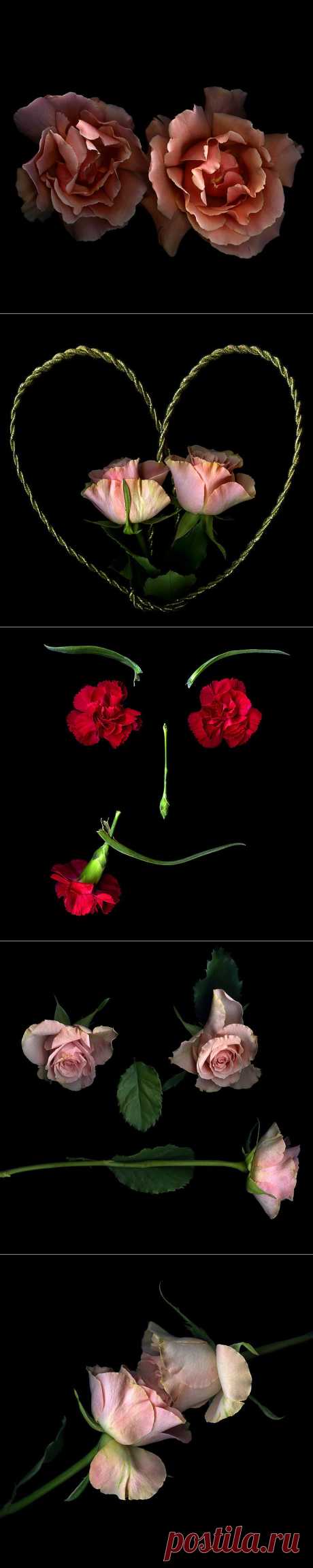 Красота на черном фоне..