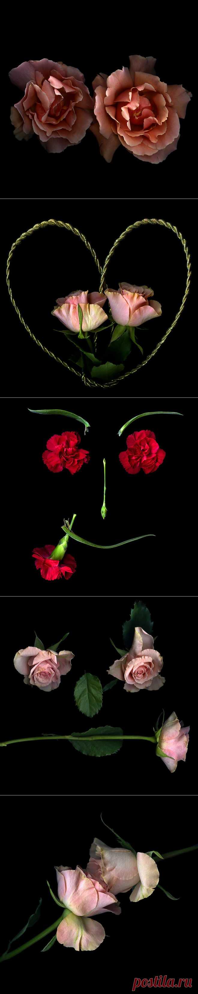 Красота на черном фоне..