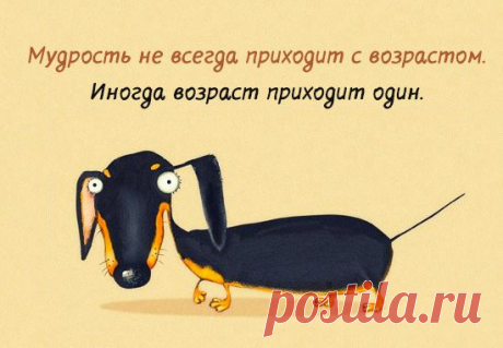 Открытки с интересными мыслями – Фитнес для мозга