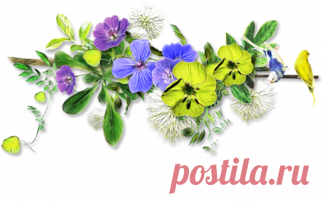 разные красивые детали на прозрачном фоне: 19 тыс изображений найдено в Яндекс.Картинках