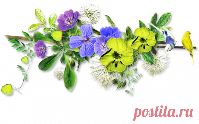 разные красивые детали на прозрачном фоне: 19 тыс изображений найдено в Яндекс.Картинках