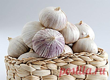 ЧЕСНОЧНЫЕ КАПЛИ