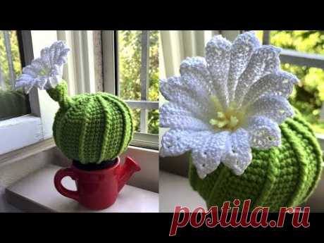 МК: КАКТУС С ЦВЕТКОМ КРЮЧКОМ. ДЕКОР КРЮЧКОМ. CROCHET CACTUS