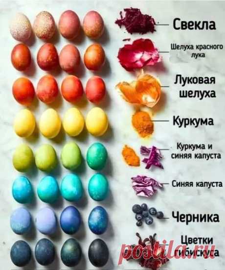 Сохрани, скоро пригодится !