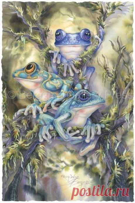 Bergsma Gallery Press :: Paintings :: Natural Elements :: Insects &amp; Amphibians :: Frogs :: Frog Wild - Prints | JODY BERGSMA