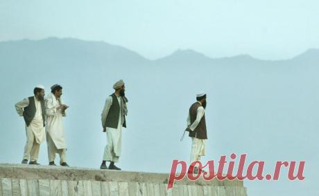 МИД заявил о согласии талибов на участие в ПМЭФ. Правящее в Афганистане движение «Талибан» (признано террористическим и запрещено в России) подтвердило свое участие в Петербургском международном экономическом форуме (ПМЭФ) 2024 года, заявил директор второго департамента Азии российского МИДа Замир Кабулов в эфире телеканала «Россия-24».