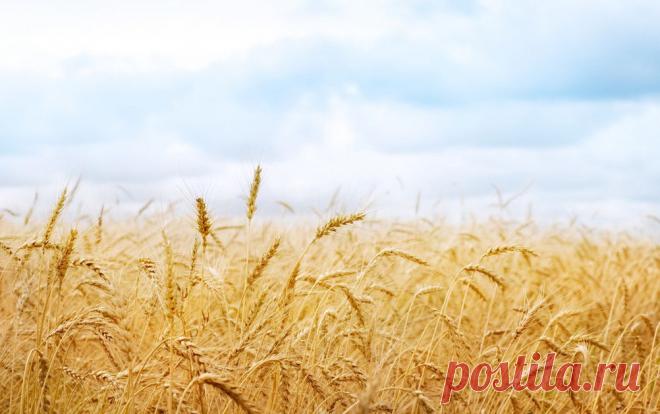 Летние анимированные картинки и яркие красочные фотки