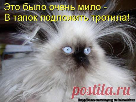 Это было очень мило, в тапок подложить тротила!