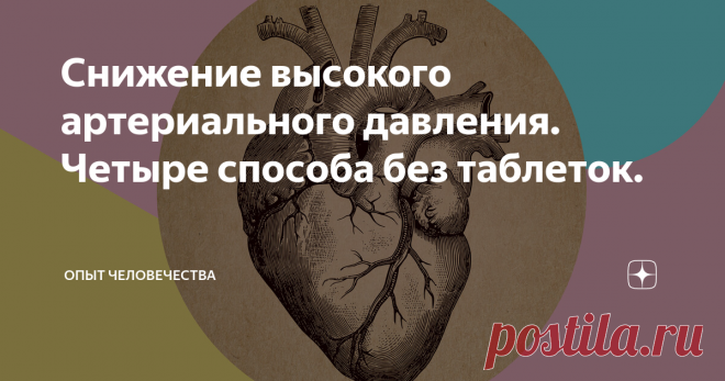 Снижение высокого артериального давления. Четыре способа без таблеток. Повышенное артериальное давление (АД) является одним из распространённых сердечно-сосудистых заболеваний. До 30% населения страдают этим недугом, у лиц старше 65 лет распространенность заболевания увеличивается до 60%. При продолжительном повышенном давлении повреждаются артерии, что приводит к таким серьёзным заболеваниям, как почечная и сердечная недостаточность, ишемическая болезнь, инфаркт, ин
