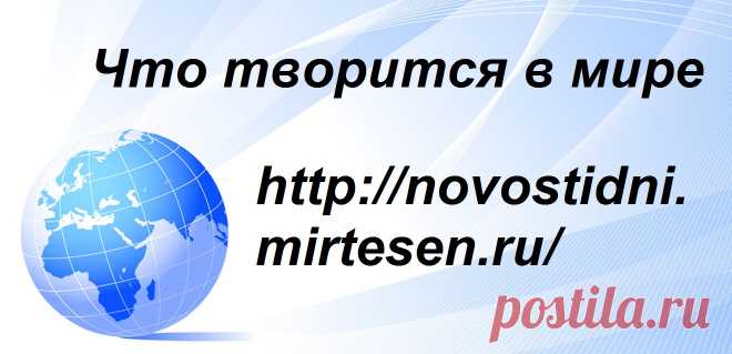 Я прочитал – и обалдел. Смело, черт возьми – но справедливо!