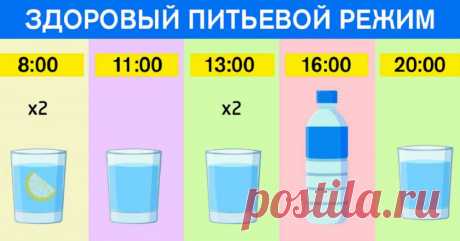 График для худеющих: ешь что хочешь и пей воду по часам. Результат — минус 15 % жира!
