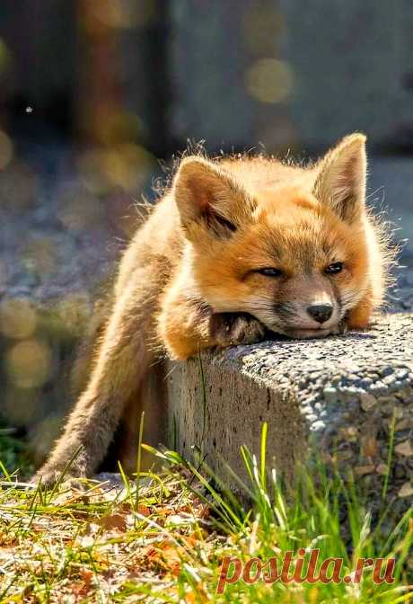 Мой Мир@Mail.Ru