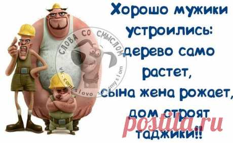 Юмор, цитаты, ...