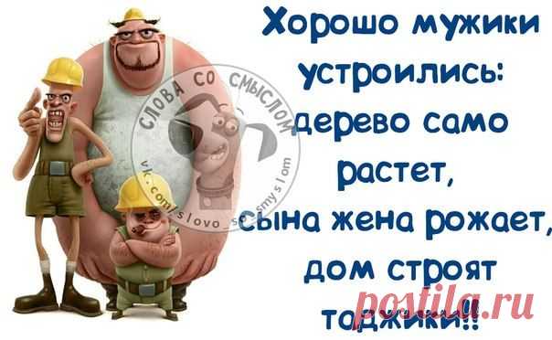 Юмор, цитаты, ...