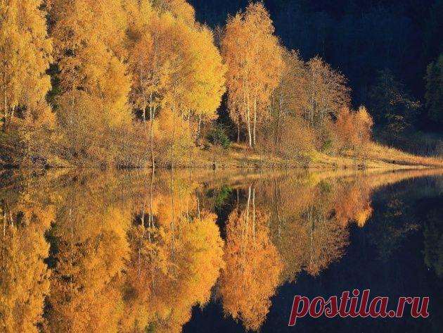 Отражение осеннее