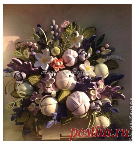 Анастасия Бертова | Страна Мастеров