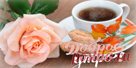 #С_ДОБРЫМ_УТРОМ #доброеутроихорошегодня #пожеланиясдобрымутром
Доброго Утра ! Солнечной Погоды и Прекрасного Настроения вам на весь День !Красивая Мелодия !
