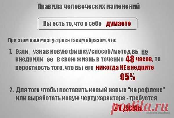 Обо всем понемногу | НАУКА И ЖИЗНЬ