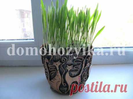 Горшок своими руками