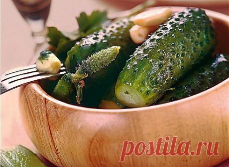 Малосольные огурцы: рецепты на Supersadovnik.ru