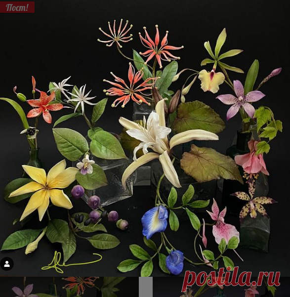 Alan Dunn (@alandunnsugarcraft) • Фото и видео в Instagram