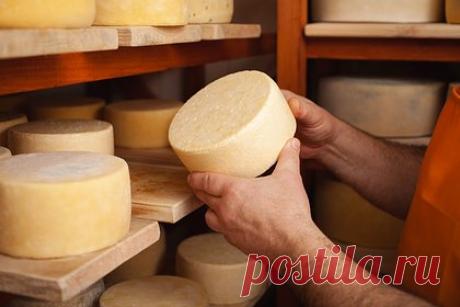 Белоруссия обвинила Россельхознадзор в фейках и дискредитации своего сыра