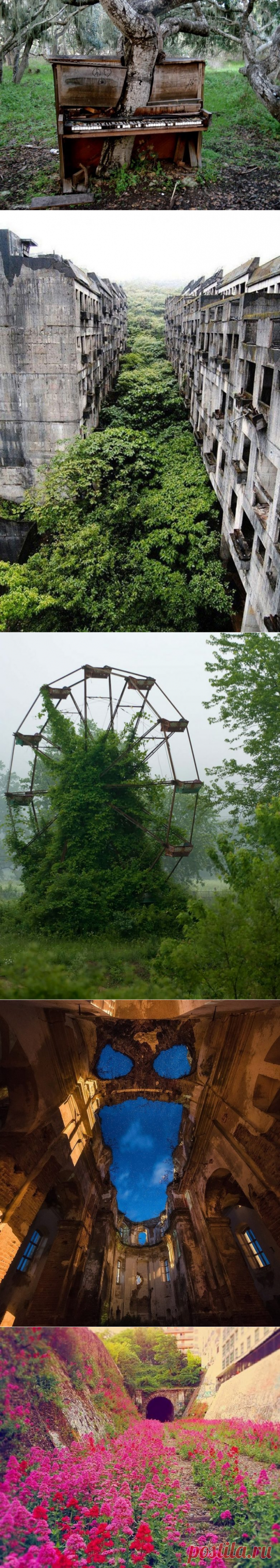 Когда природа залечивает раны, нанесенные человечеством / Всё самое лучшее из интернета