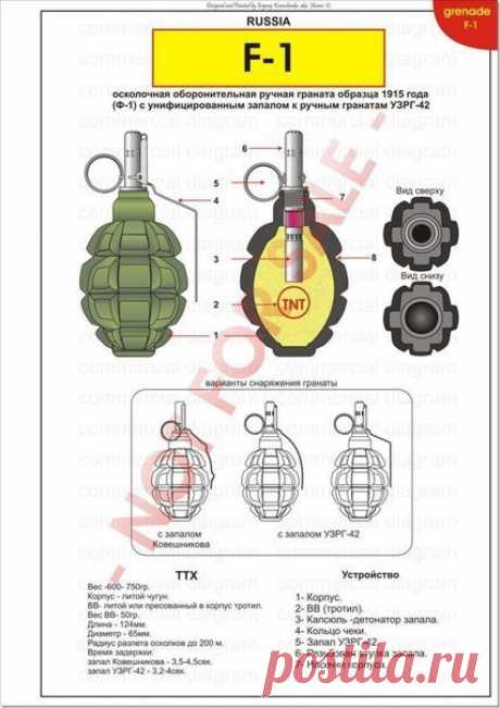b-131690.jpg (427×604)
