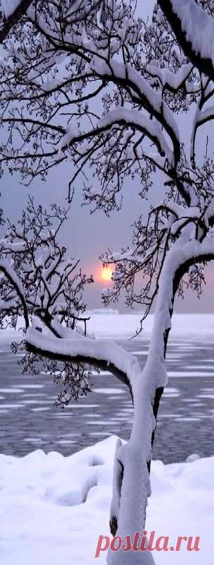 Beauty of Fallen snow with sunsets,  
stellaresque42.tumblr.com   |   Pinterest • Всемирный каталог идей