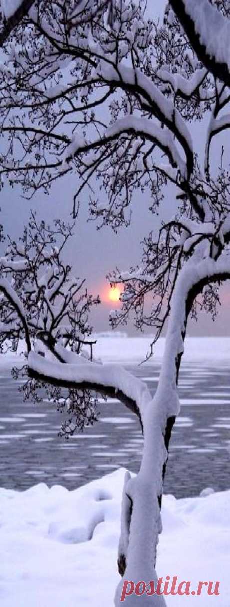 Beauty of Fallen snow with sunsets,  
stellaresque42.tumblr.com   |   Pinterest • Всемирный каталог идей