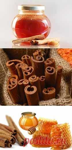 Корица с медом - сладкая парочка для здоровья и похудения.