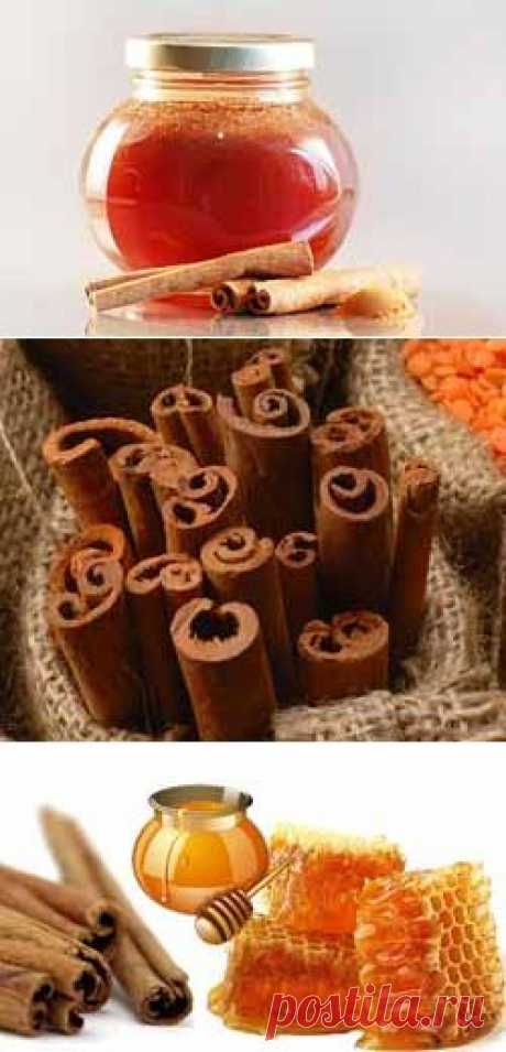 Корица с медом - сладкая парочка для здоровья и похудения.