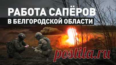 Сапёры в Белгородской области устраняют последствия обстрелов ВСУ — видео. Российские инженерно-сапёрные подразделения проводят гуманитарное разминирование и устраняют последствия обстрелов ВСУ на территории Белгородской области. Для проведения сплошной очистки местности от взрывоопасных предметов (ВОП) задействованы несколько мобильных групп. Коммунальные службы приводят в порядок приграничные населённые пункты. Расчищаются улицы, восстанавливается электроснабжение. Местное население…