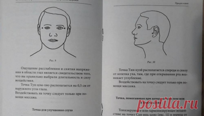 25 волшебных точек для управления психикой и поддержания здоровья Интересные факты обо всём на свете, которых вы, возможно, не знали.