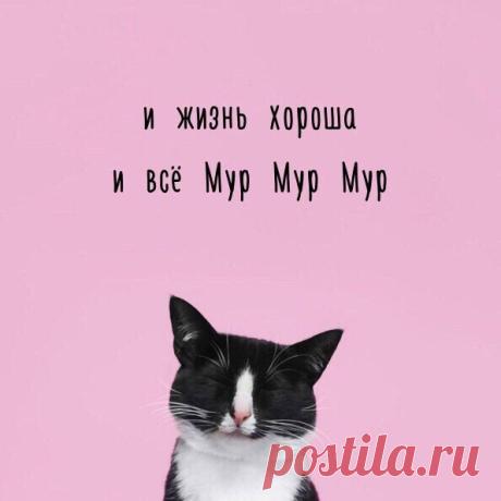 ЭКСТРАюмор