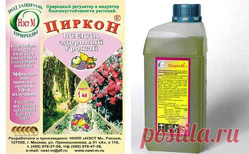 Наш помощник - 
