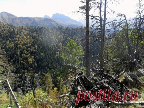 В горной Адыгее - 14 Октября 2015 - Персональный сайт